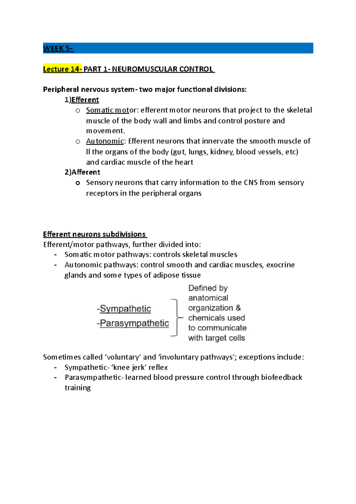 WEEK 5 - Lecture notes week 5 - WEEK 5- Lecture 14- PART 1 ...