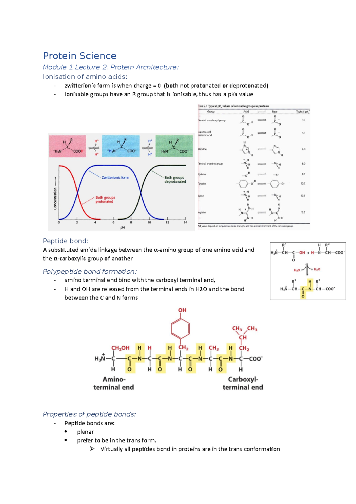 Protein Science Module 1, Lecture 2 - Virtually all peptides bond in