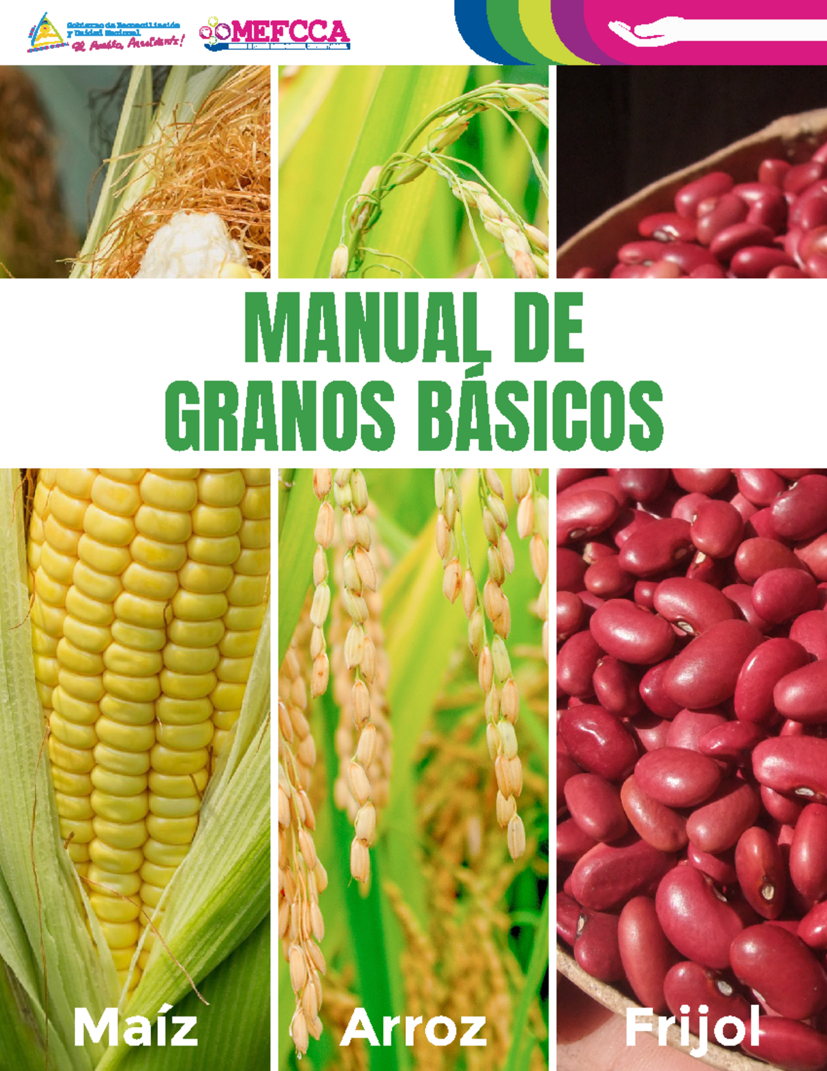 Documento 2984638 - Ninguna - MANUAL DE GRANOS BÁSICOS Maíz Arroz ...