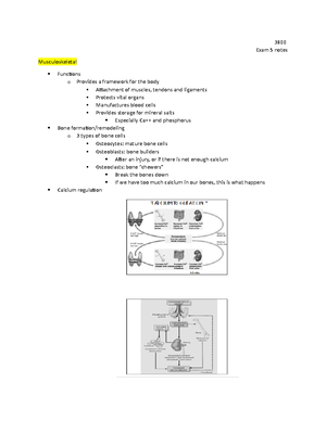 Pathophysiology Study Guide - Pathophysiology Study Guide – Exam 1 ...