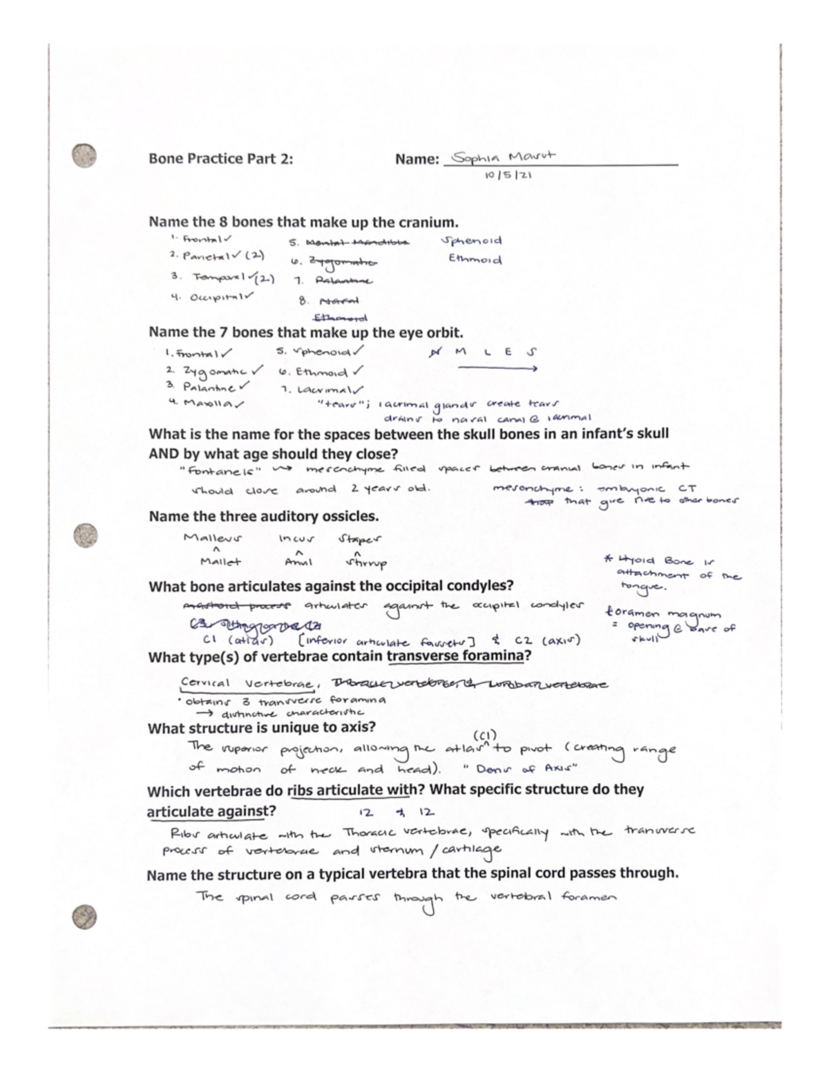 Bone Practice BIOL 2320 Studocu   Thumb 1200 1553 