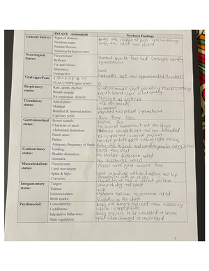 Review Gross Anatomy of the Muscular System - • • REVIEW SHEET Gross ...