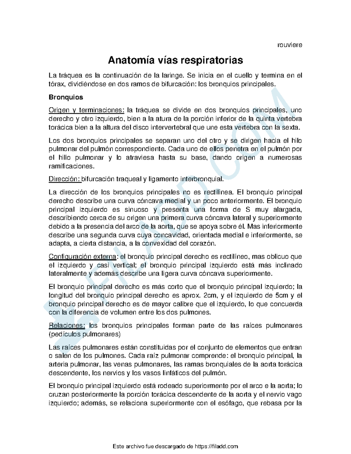 Anatomia pulmonar - Summary Clinica médica - rouviere Anatomía vías ...