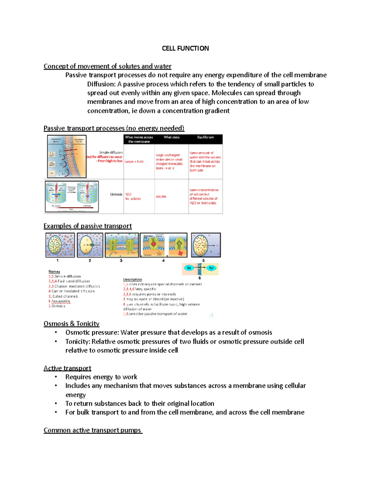 CELL Function - lecture notes - CELL FUNCTION Concept of movement of ...