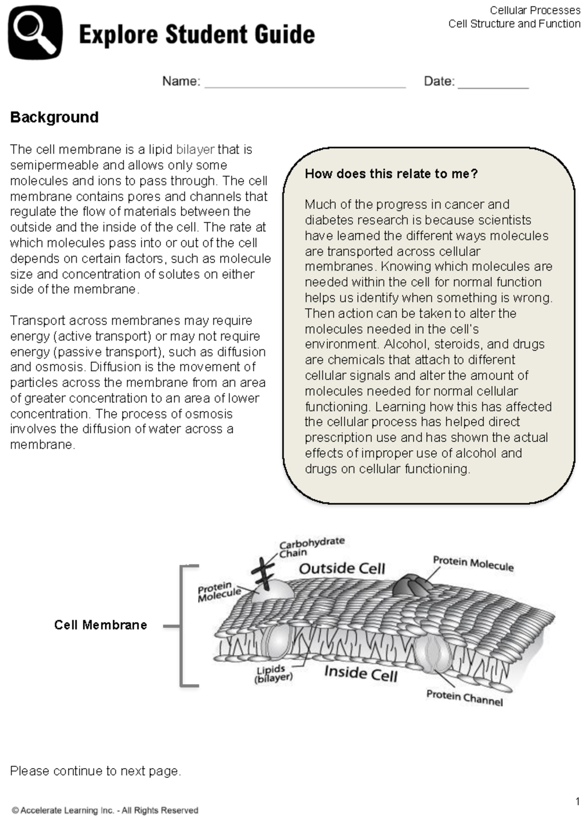 TXSL B - kjvhjujujyg - Cell Structure and Function Background The cell ...