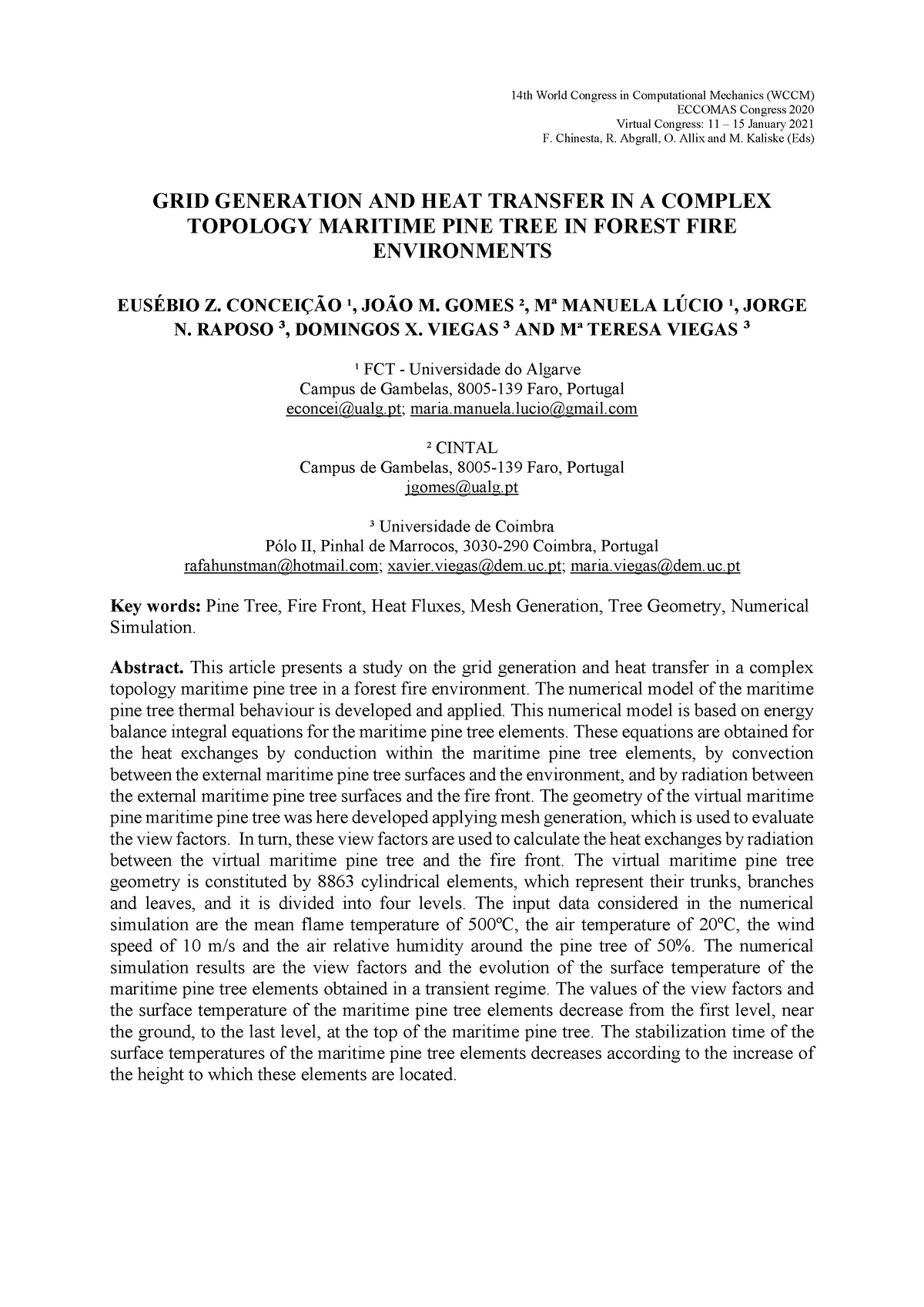 grid-generation-and-heat-transfer-in-a-complex-topology-maritime-pine