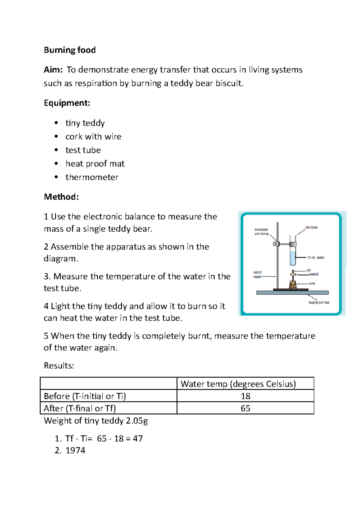 13. Burning of food report on Europe Burning food Aim To