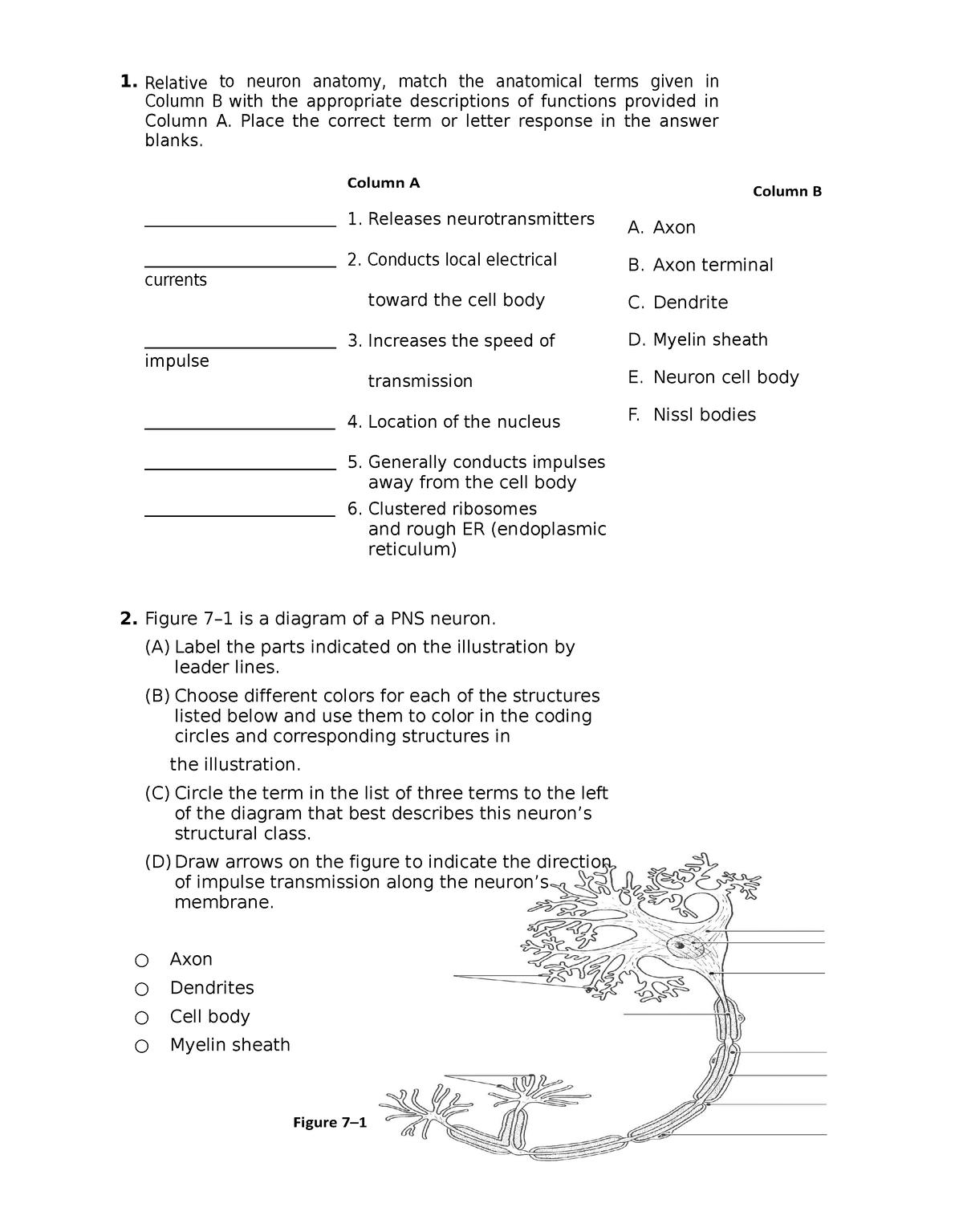 Nervous-system - Use this as a reference if you want to learn about ...