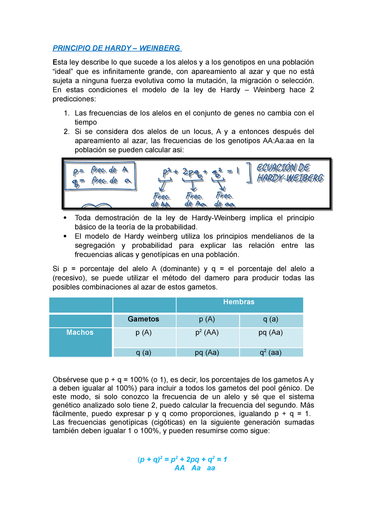 Principio DE Hardy - Apuntes 15 - PRINCIPIO DE HARDY – WEINBERG E sta ley  describe lo que sucede a - Studocu