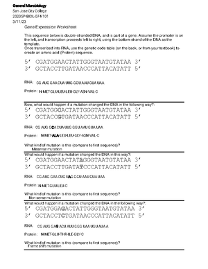 Meiosis Worksheet - Biology - Meiosis Worksheet Name ...