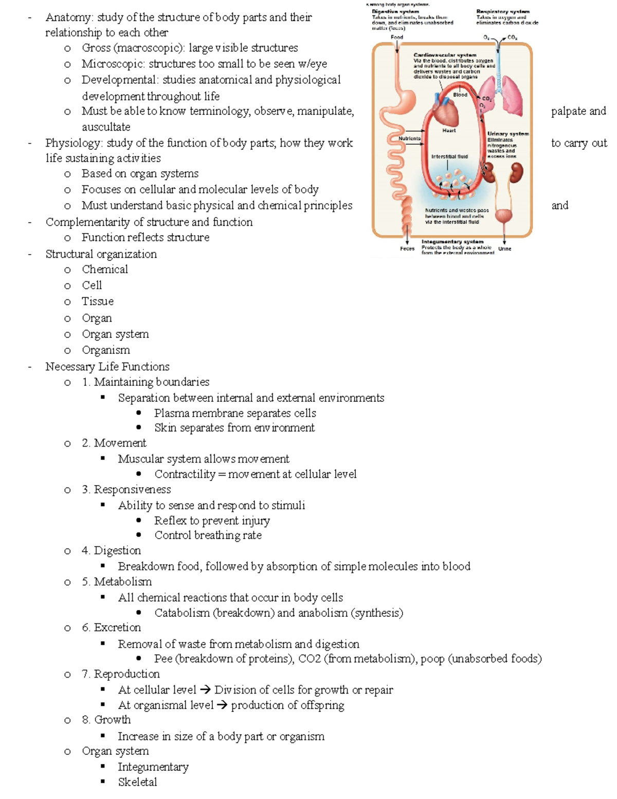 Chapter 1 - human body - Anatomy: study of the structure of body parts ...