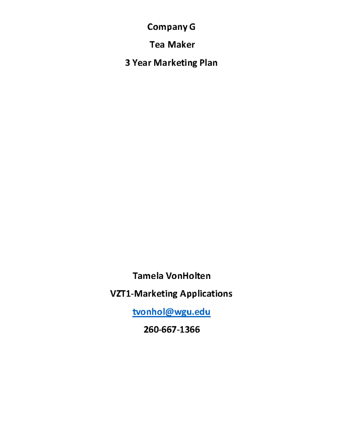 Company G Marketing Plan Template Notes - Company G Tea Maker 3 Year ...