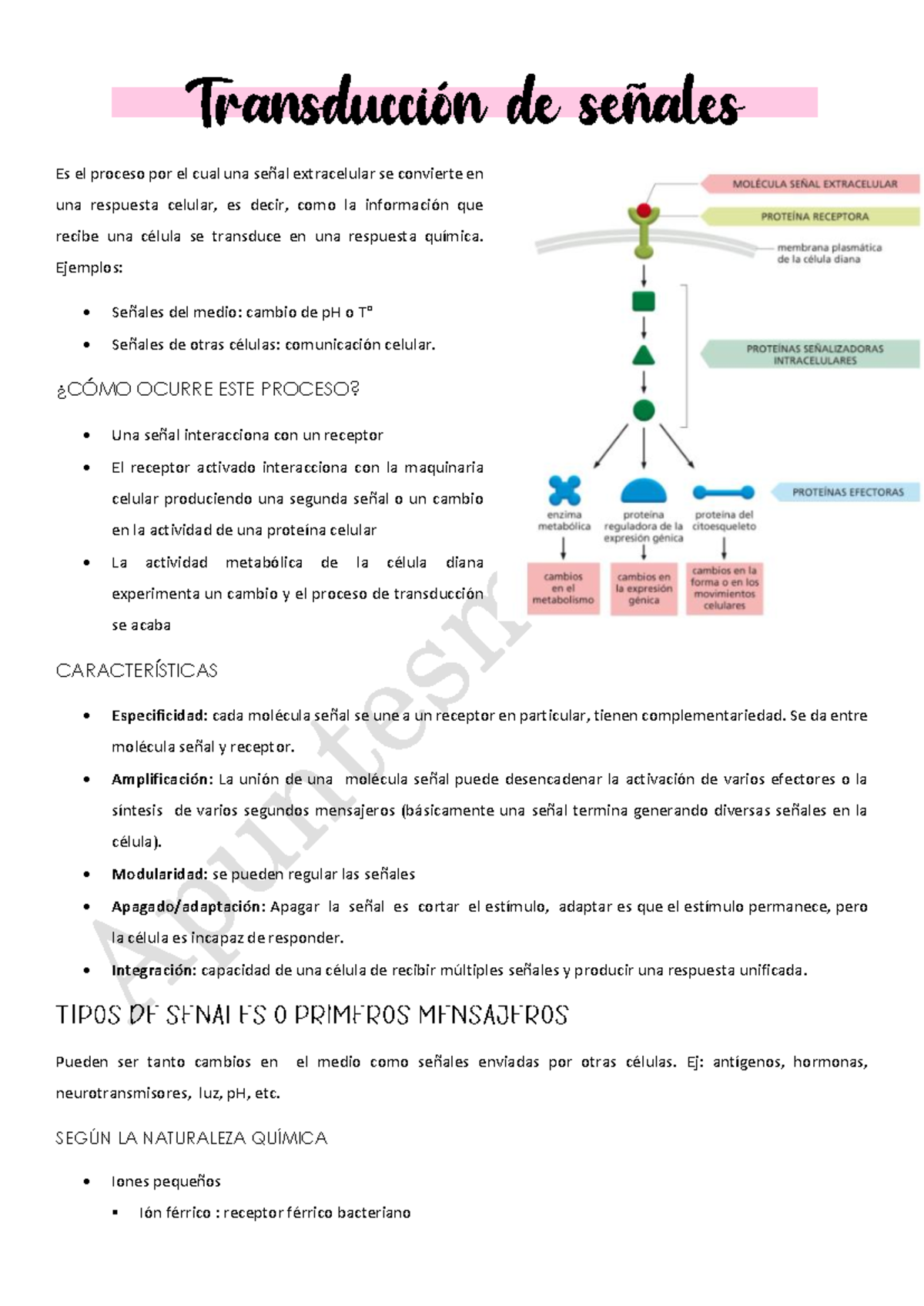 Transducción de señales - PDFV - Es el proceso por el cual una señal ...