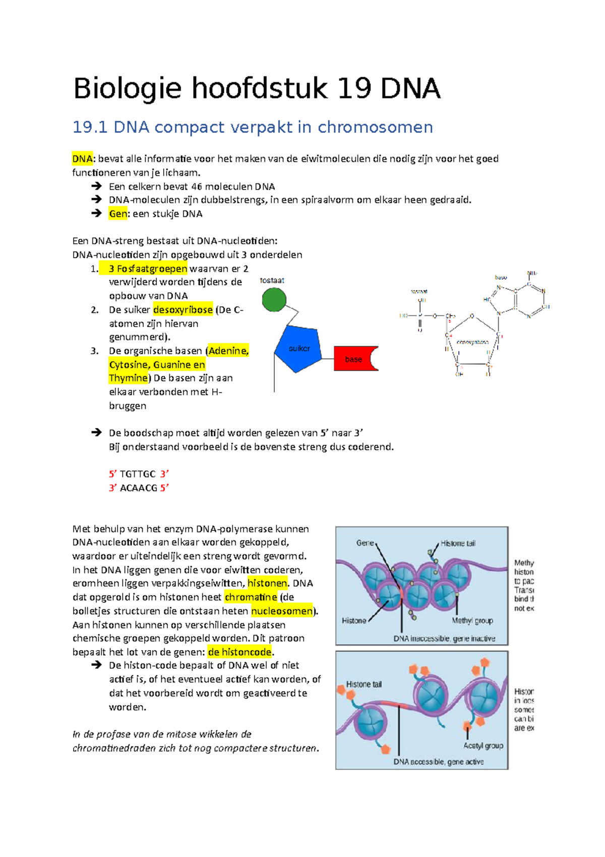 Hoofdstuk 19 DNA - Biologie hoofdstuk 19 DNA 19 DNA compact verpakt in ...