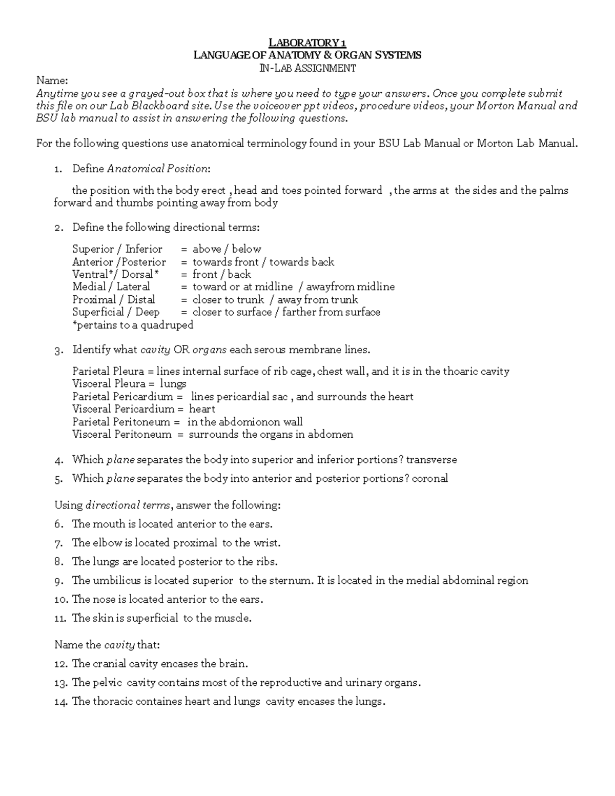 A&P lab 1 - LABORATORY 1 LANGUAGE OF ANATOMY & ORGAN SYSTEMS IN-LAB ...