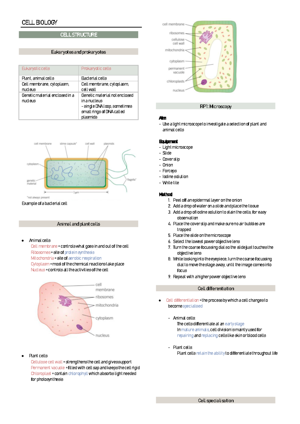 Biology paper 1 - CELL BIOLOGY CELL STRUCTURE Eukaryotes and ...
