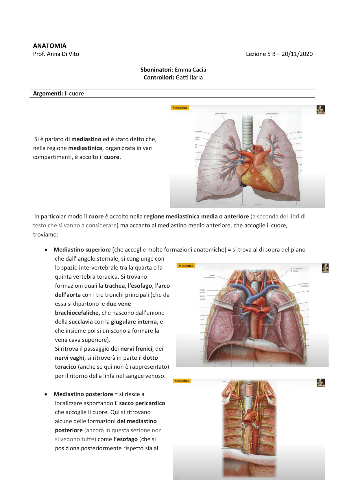 Lezione 5 DI Anatomia Parte B - ANATOMIA Prof. Anna Di Vito Lezione 5 B ...