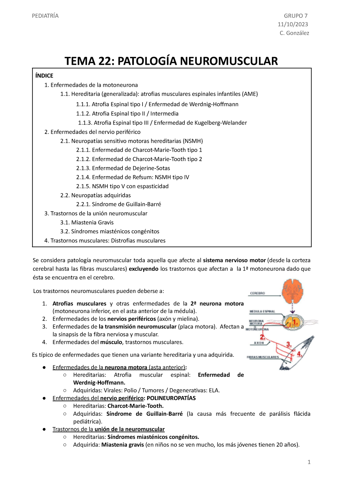 Patología Neuromuscular - 11/10/ C. González TEMA 22: PATOLOGÍA ...