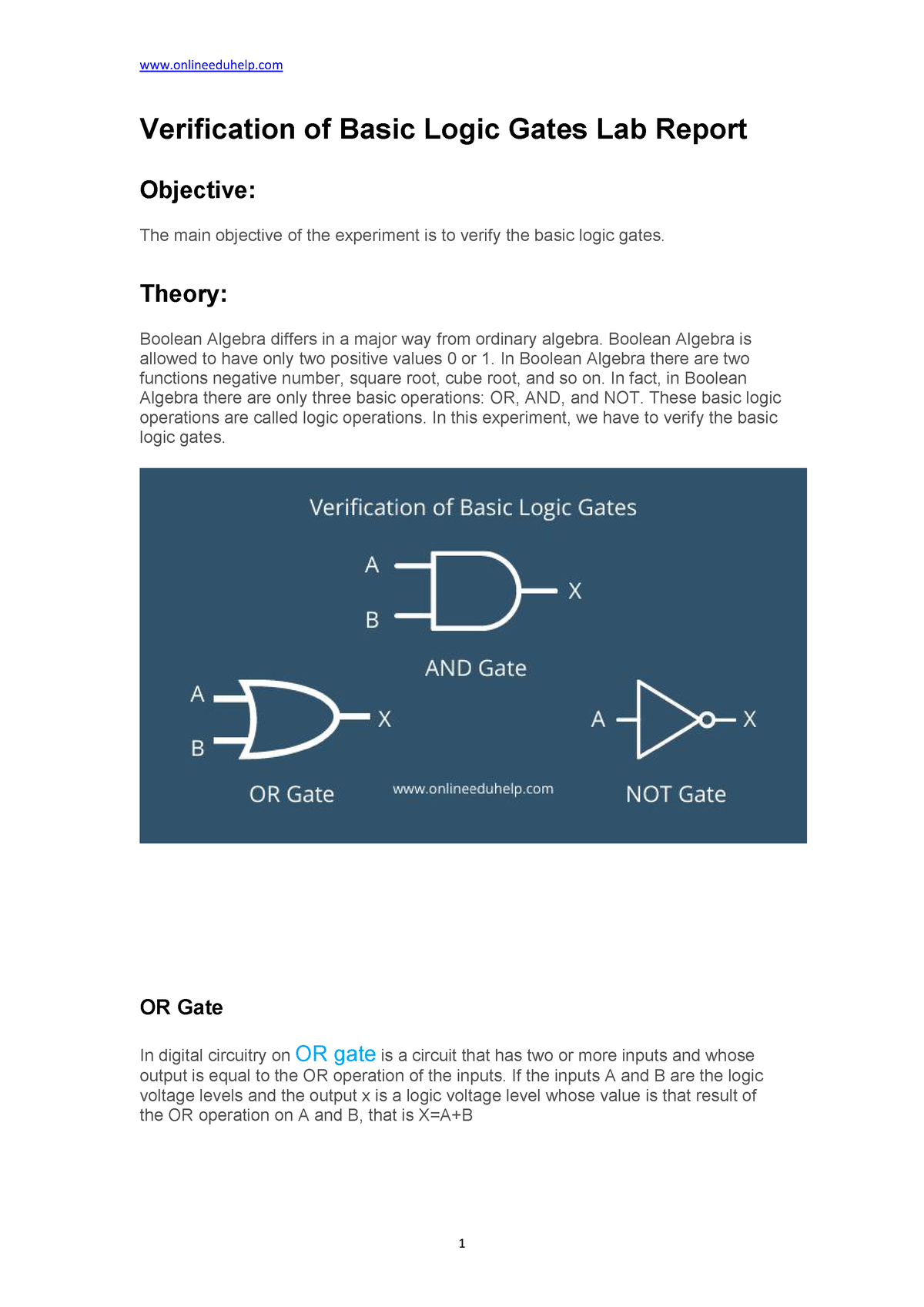 logic gates verification experiment