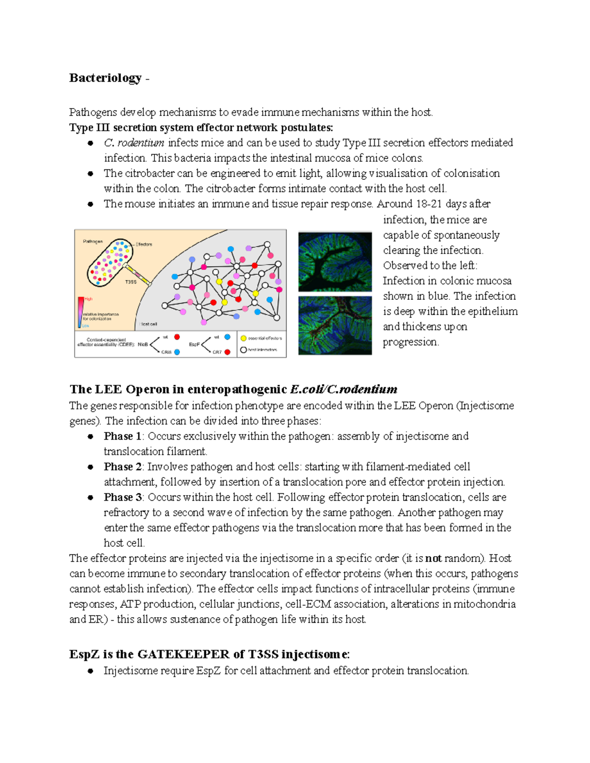 Bacteriology 1 - Research-based Lecture Notes. - Bacteriology ...