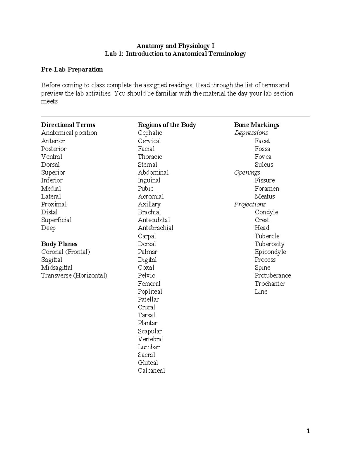 Lab 1 Packet Introduction To Anatomical Terminology - Anatomy And ...