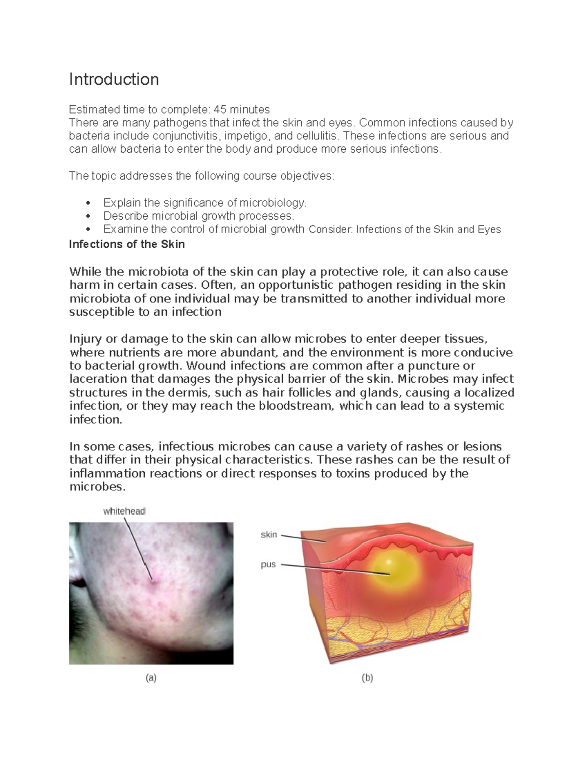 Infections of skin - infection of skin review - Introduction Estimated ...