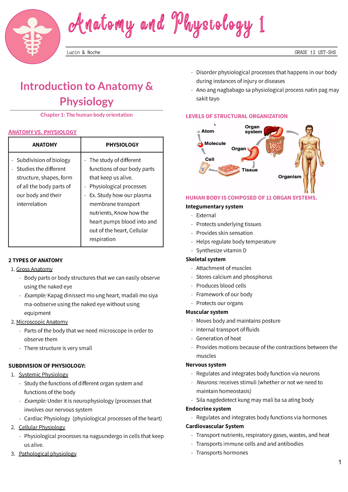 1 Stqrt Anaphy 1 (PART 1) - Introduction To Anatomy & Physiology ...