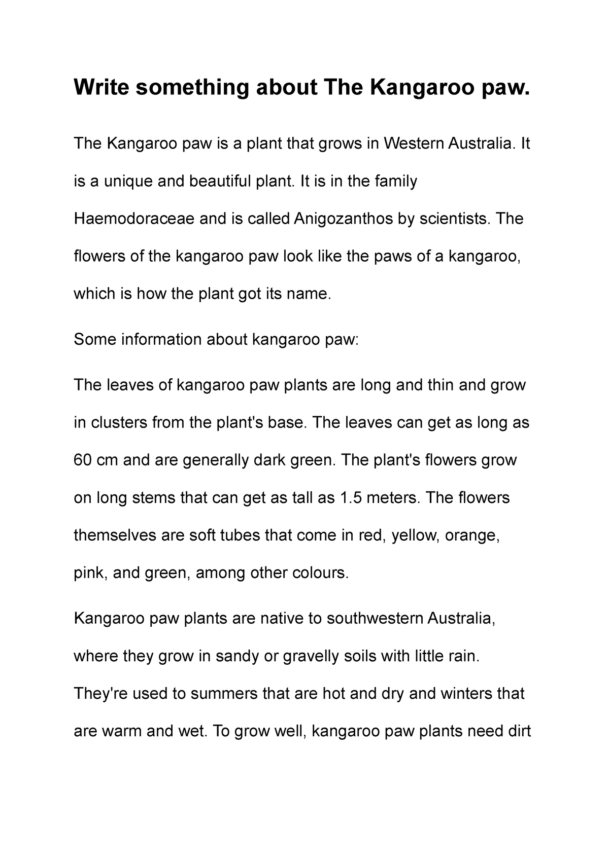 write an essay about kangaroo