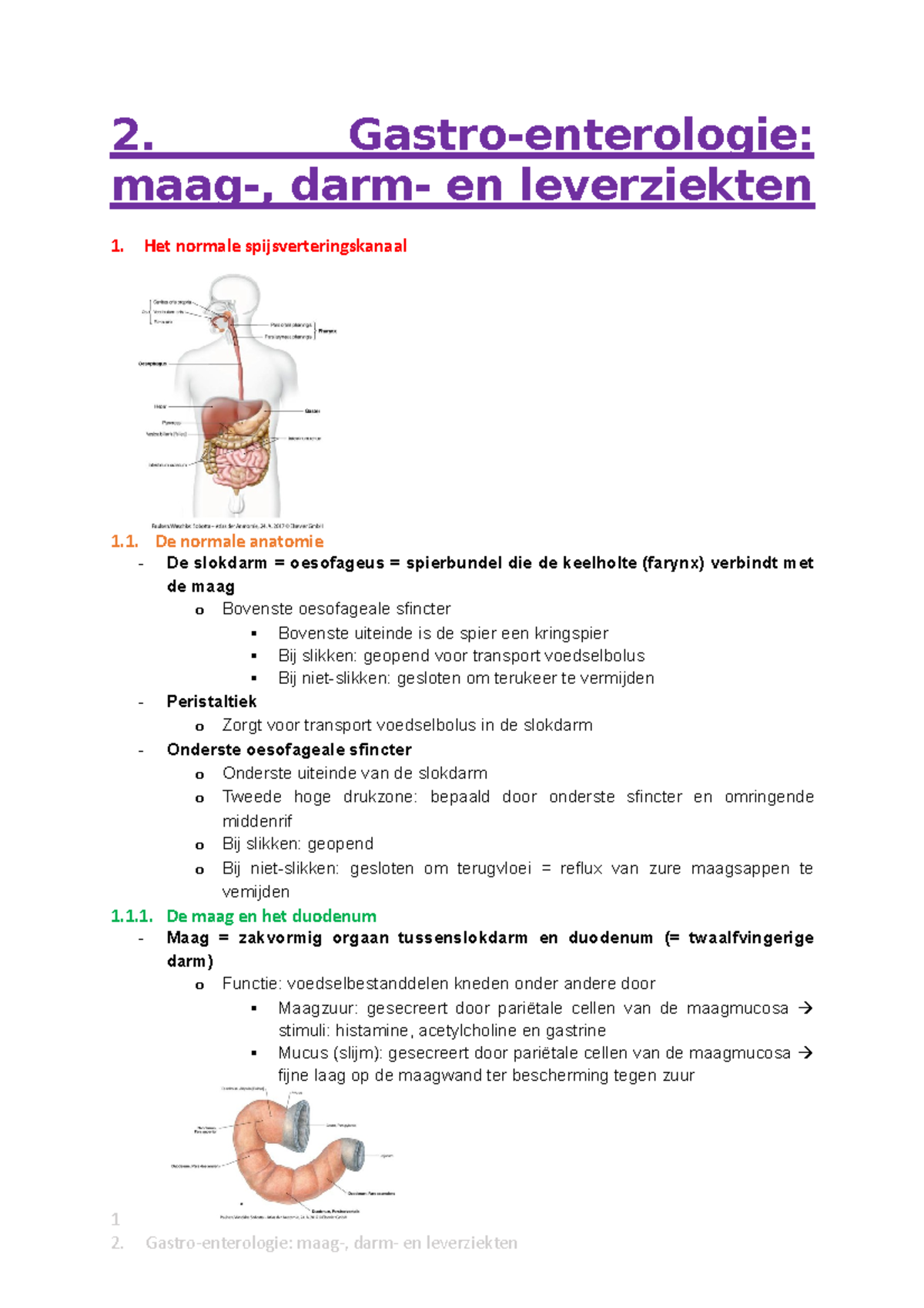 2. Gastro-enterologie- Maag-, Darm- En Leverziekten - 2. Gastro ...