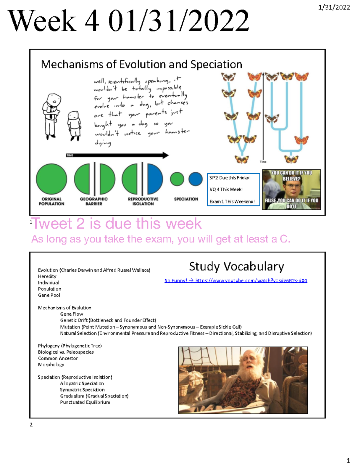 Lecture 4 Week 4 Mechanisms of Evolution and Speciation - 1/31 ...