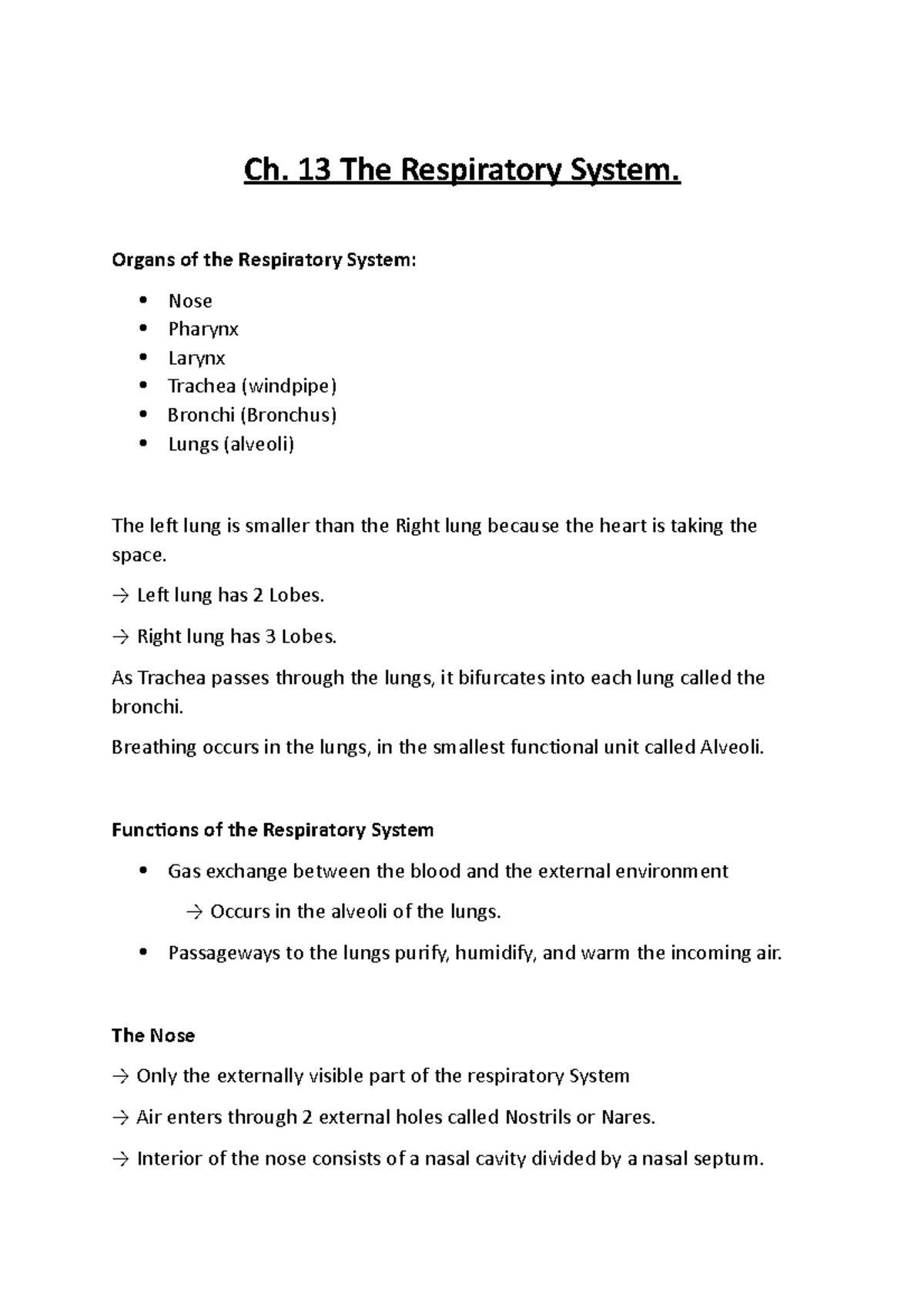 Anatomy Ch. 13 The Respiratory System. Organs of the Respiratory