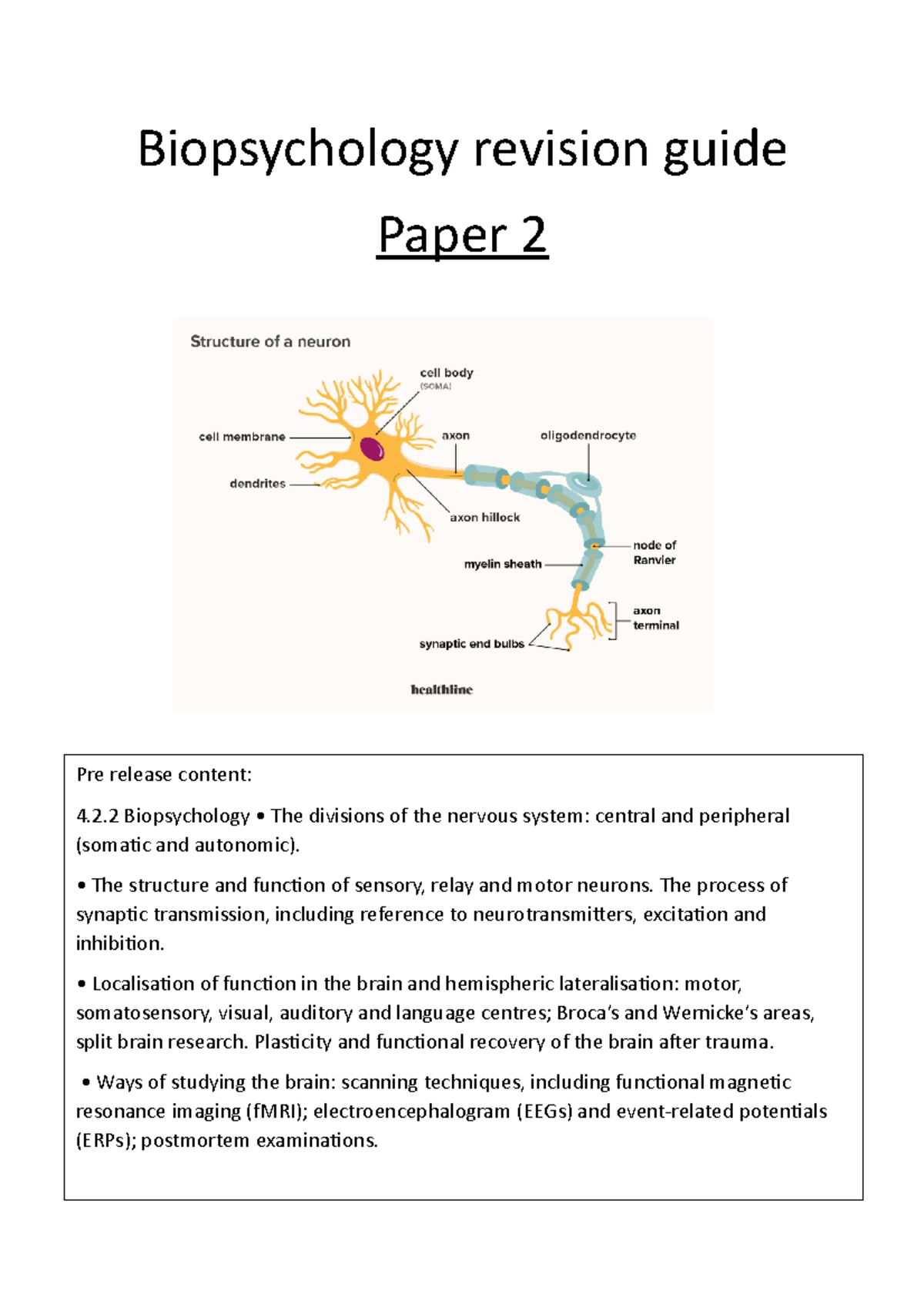 Biopsychology Revision Guide - 2 Biopsychology • The Divisions Of The ...