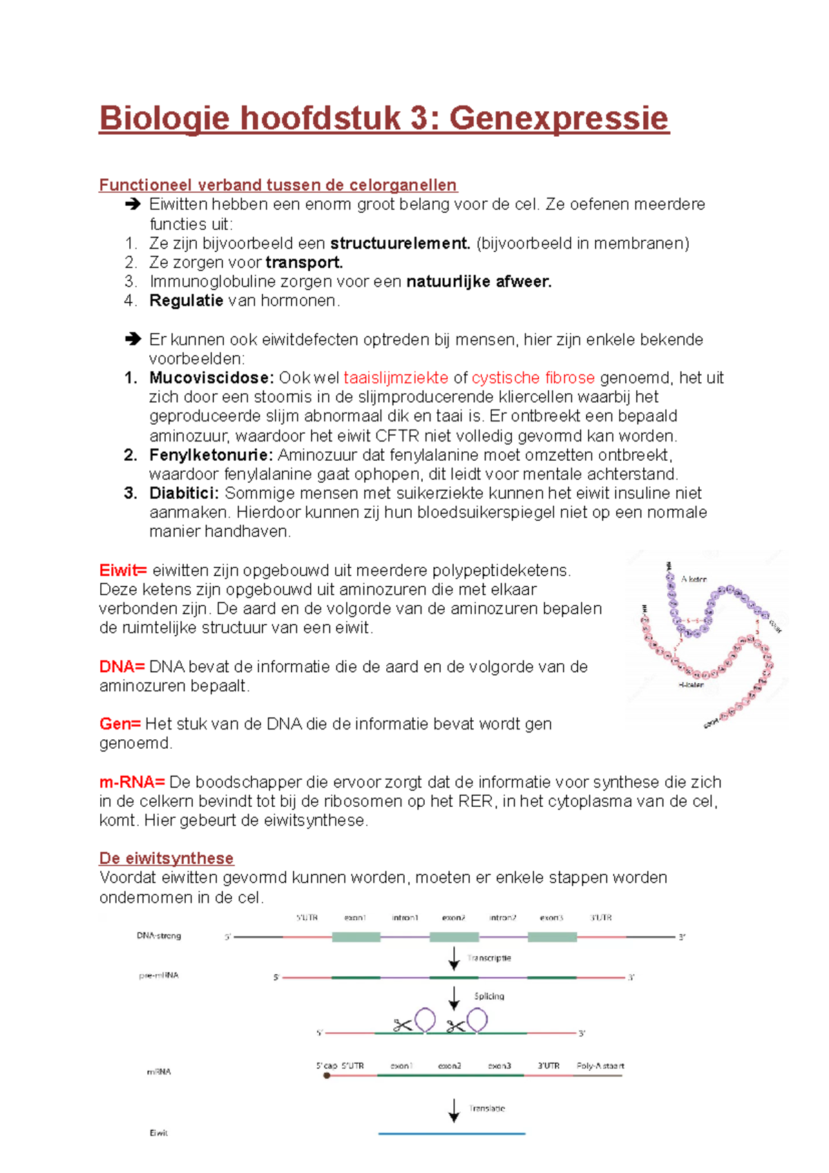 Biologie-hoofdstuk-3 - Biologie Hoofdstuk 3: Genexpressie Functioneel ...