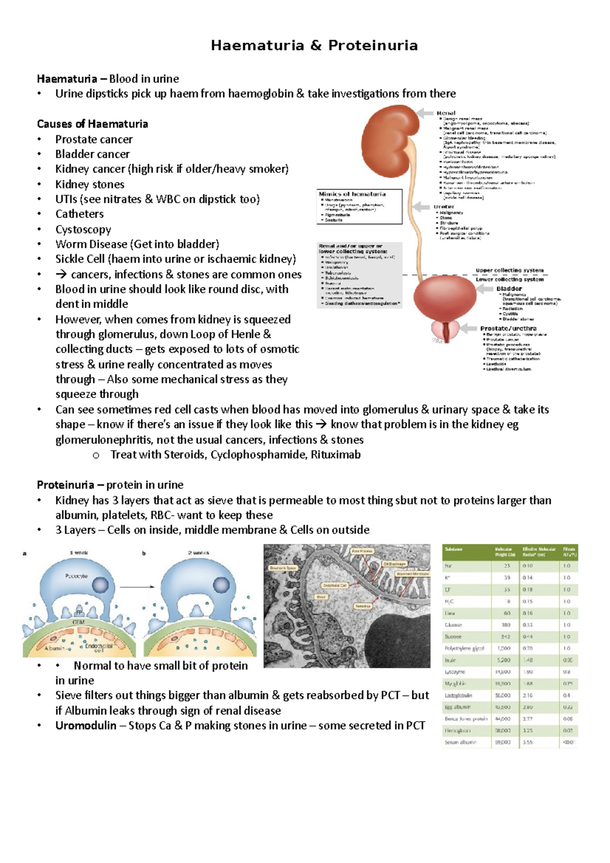 Haematuria & Proteinuria Haematuria & Proteinuria Haematuria Blood