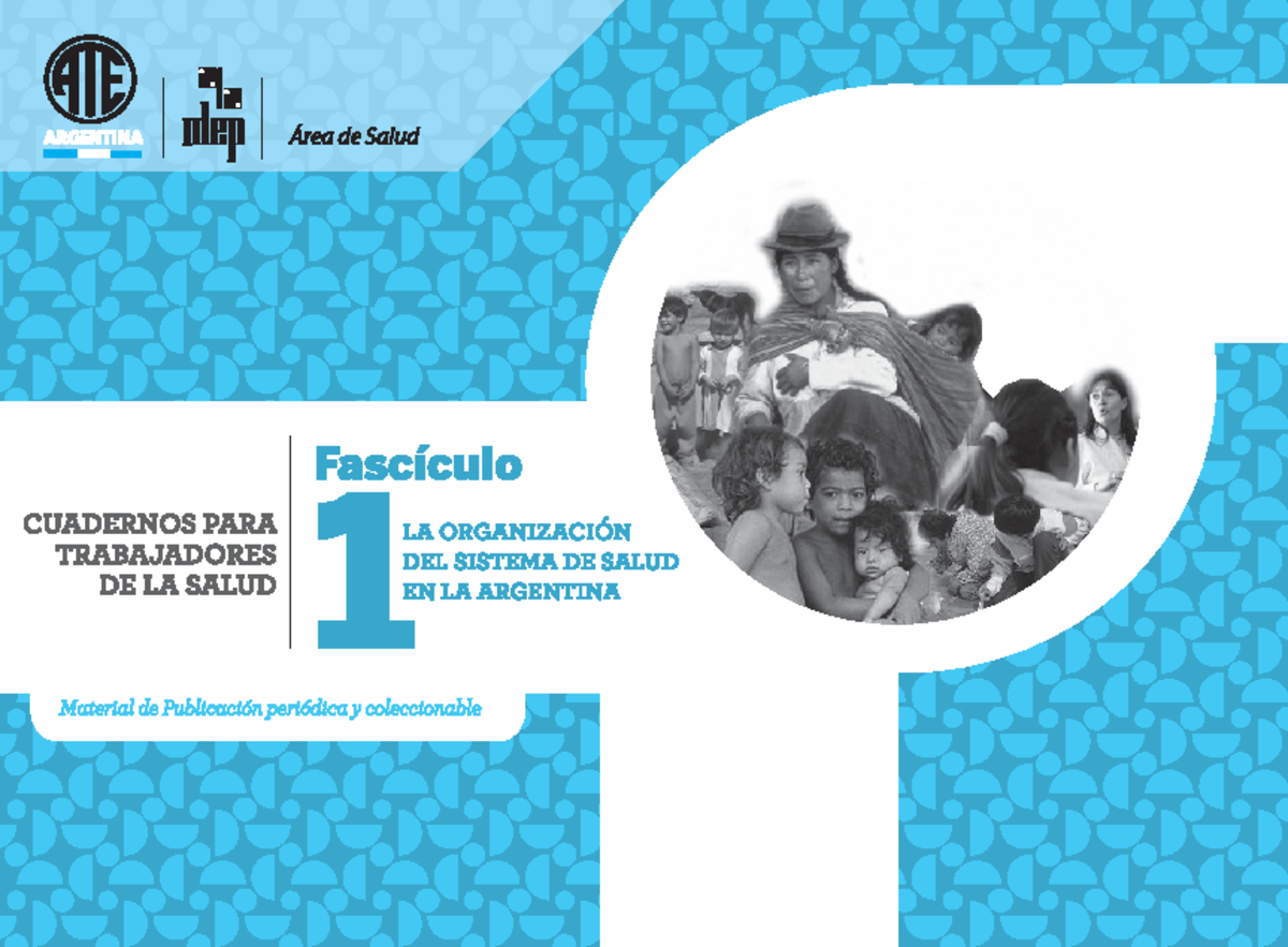78La organizacion del sistema de salud en la Argentina - Redes Y ...