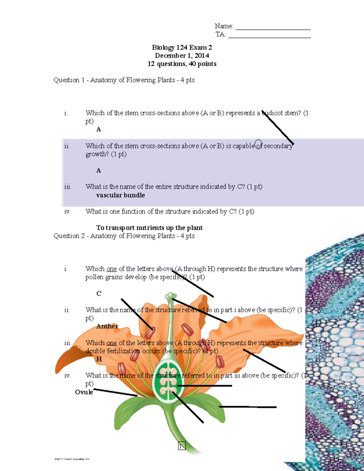 BIOL124 exam 2-revised 11-30 - TA: _______________________ Biology 124 ...