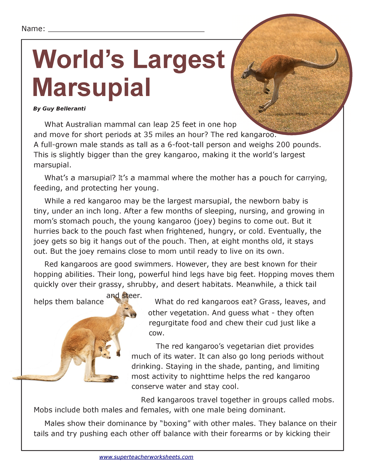 Rocky River Public Library on X: Can you find the joeys in these kangaroo  words? GIGANTIC ALONE CHOCOLATE Can you think of other kangaroo words?  #didyouknow #kangaroowords #words #synonyms #RRPL  /