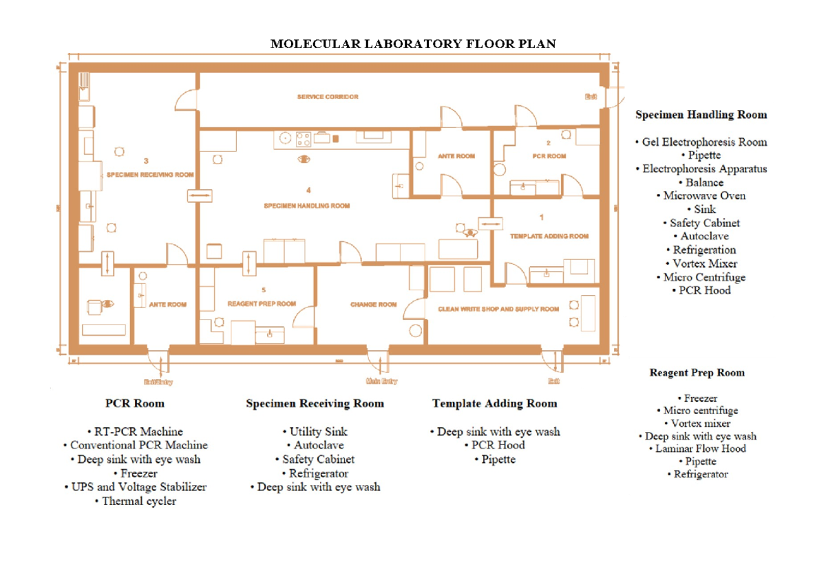 Mol BIo Floor Plan - Cell Molecular Biology - MOLECULAR LABORATORY ...