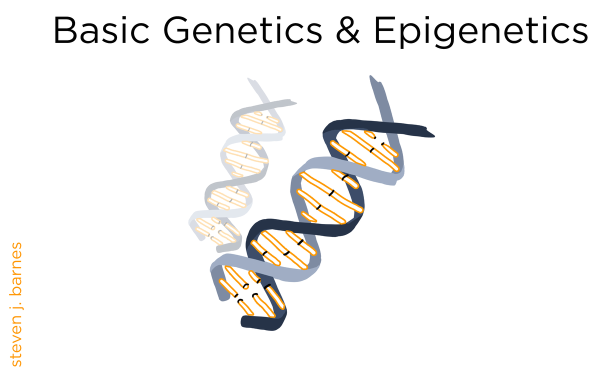 Basics Of Genetics And Epigenetics Final - Basic Genetics & Epigenetics ...