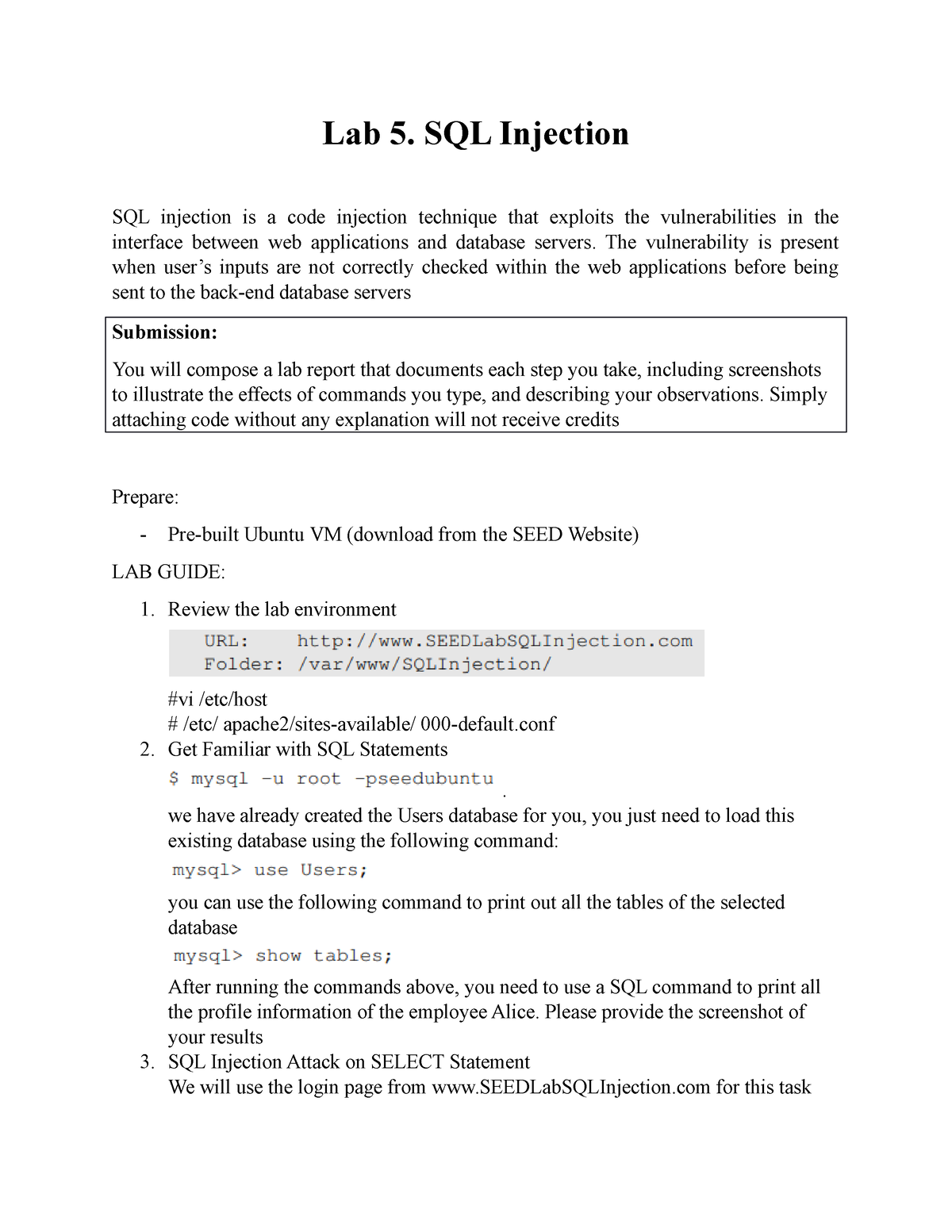 Lab 5 Sql Injection Attt Lab 5 Sql Injection Sql Injection Is A Code Injection Technique 4534