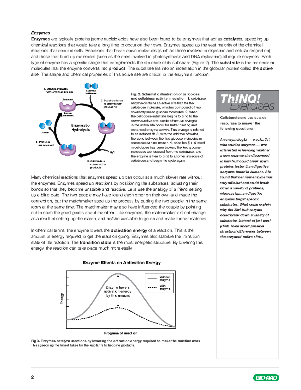 Biofuel Enzyme Background Reading 2 Enzymes Enzymes are typically