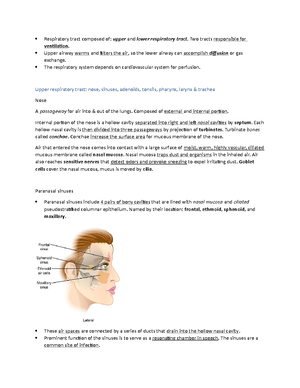 Trans-Template - reviewer - THEORETICAL FOUNDATION OF NURSING LECTURE ...