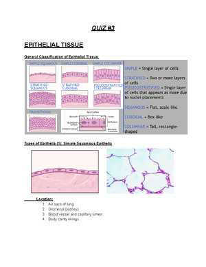 Electrolyte Overview - notes - Electrolyte Balance ELECTROLYTES Here is ...