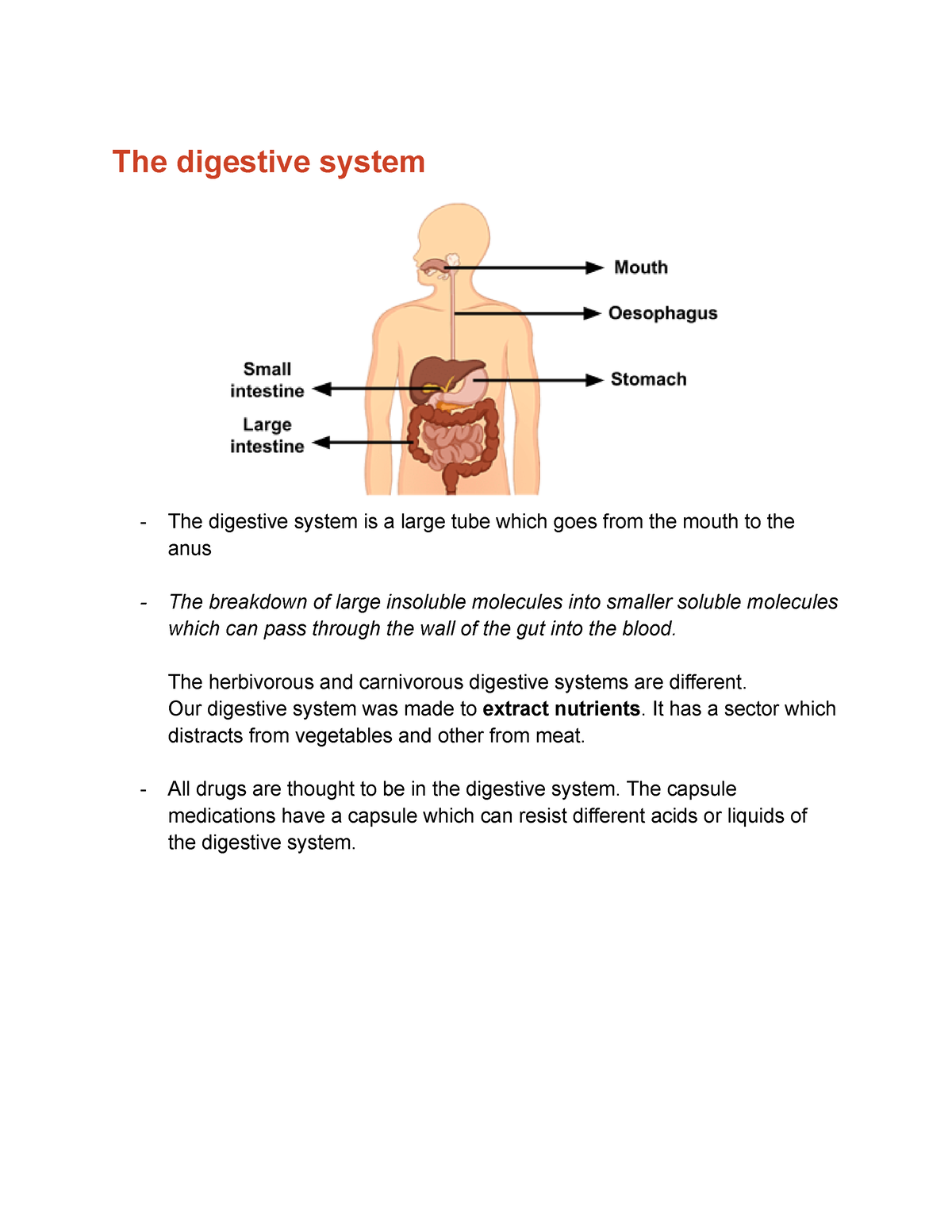 HUMAN DIGESTIVE SYSTEM summary IB Biology - The digestive system - The ...