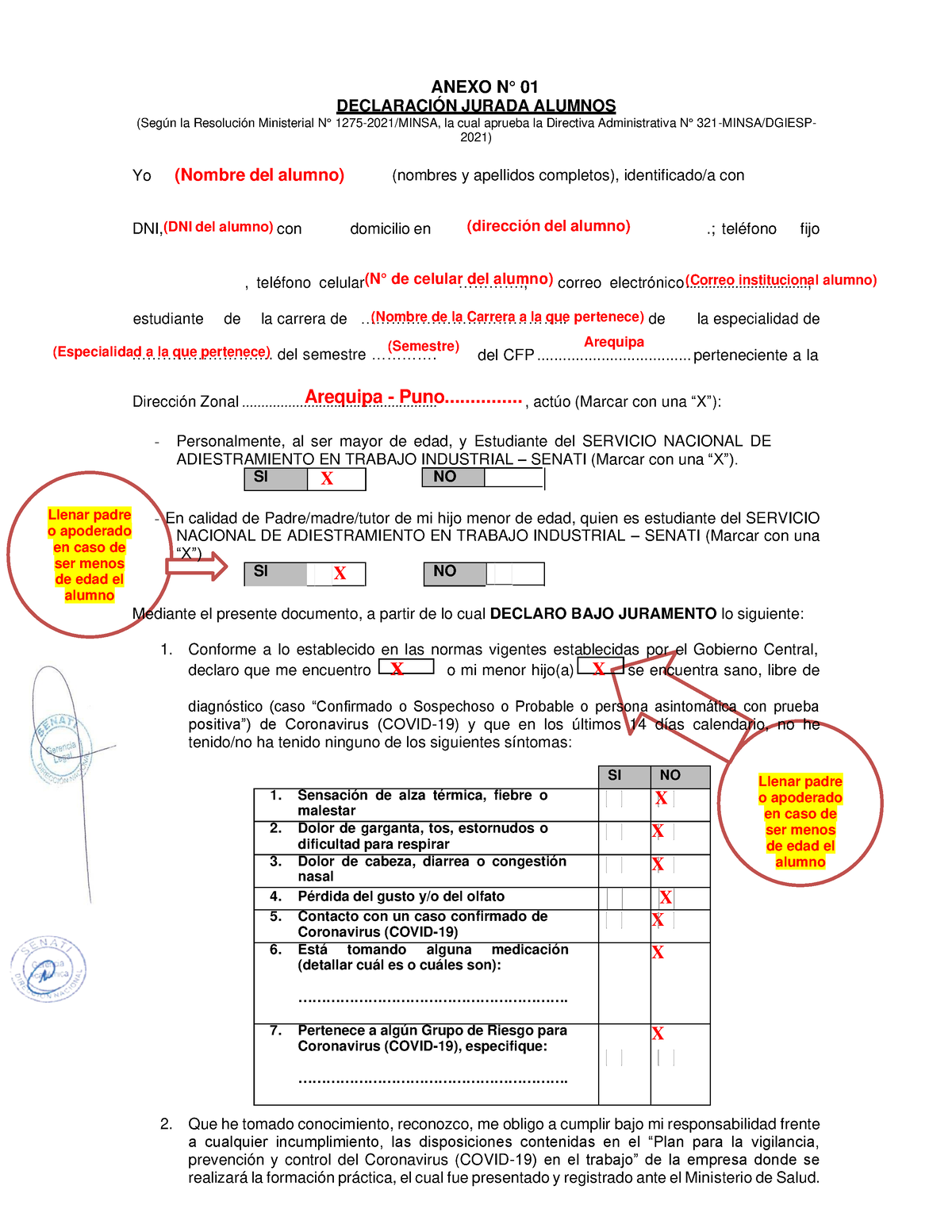 Modelo De Llenado Correcto Doc Formato Declaracion Jurada Alumno