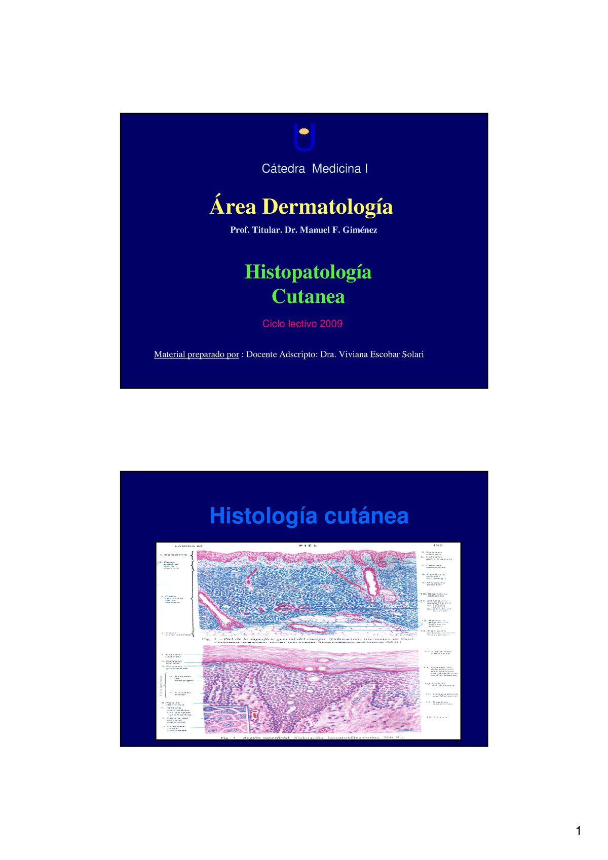 Lesiones Bµ Sicas Histolog A CUTµNEA - U Cátedra Medicina I Área ...