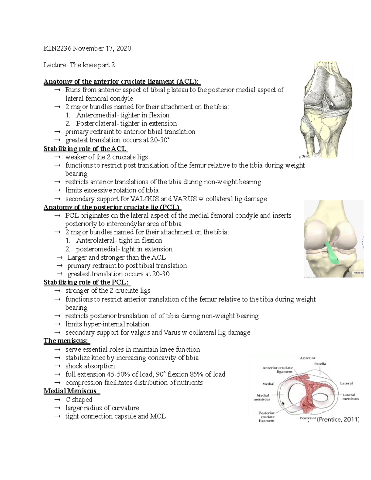 Kin2236 November 17 - Lecture Notes - Kin2236 November 17, 2020 Lecture 