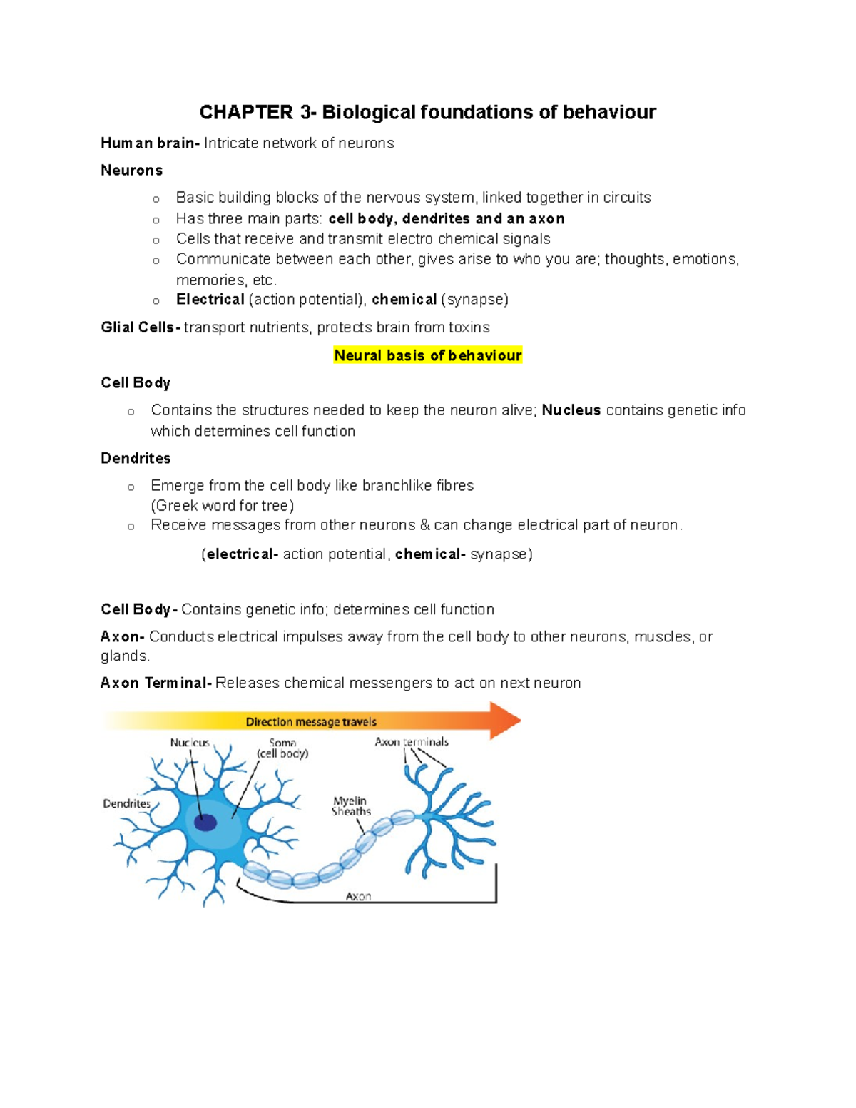 Chapter 3- Biological Foundations Of Behaviour - CHAPTER 3- Biological ...