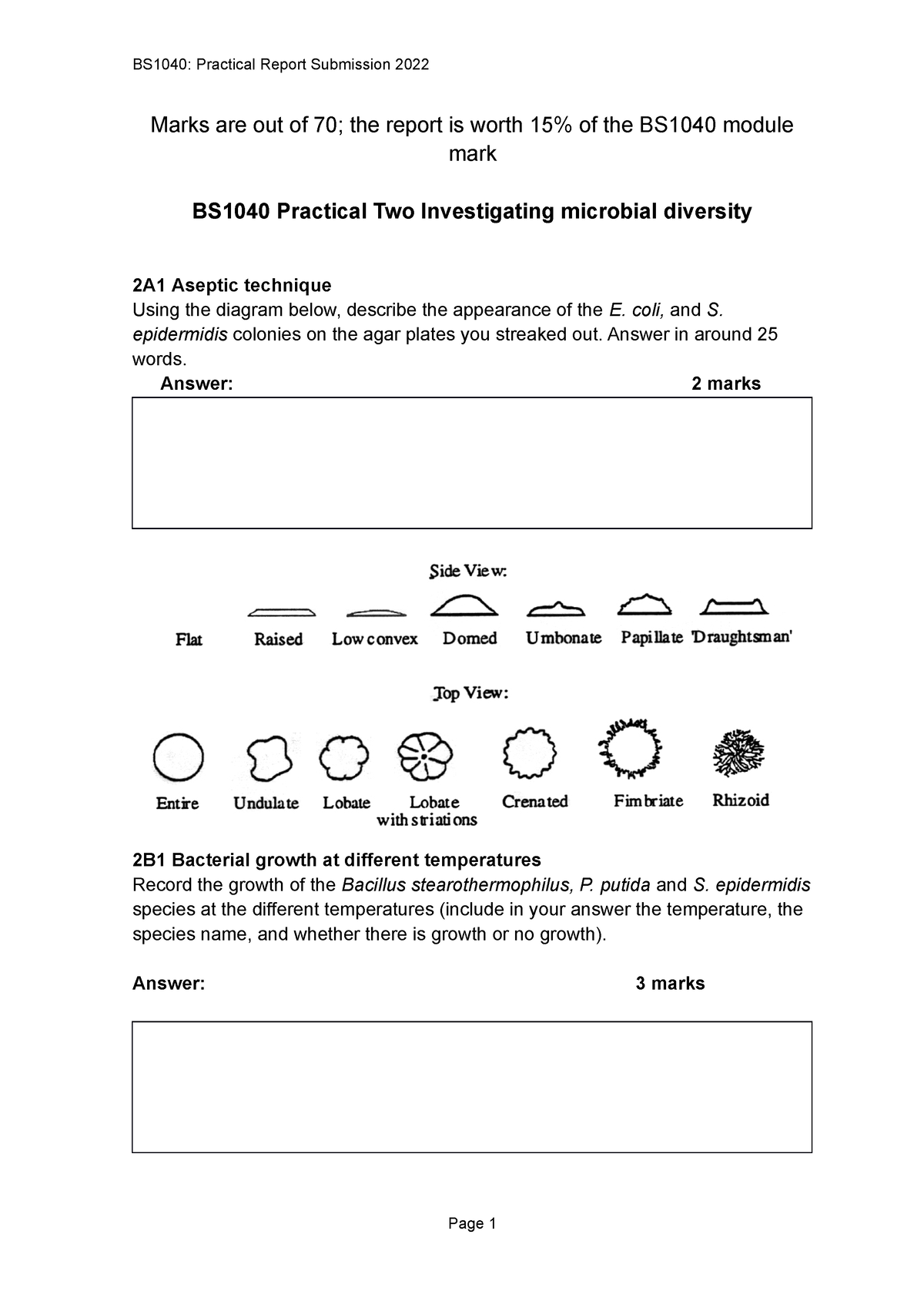 bs1040-practical-report-template-2023-marks-are-out-of-70-the