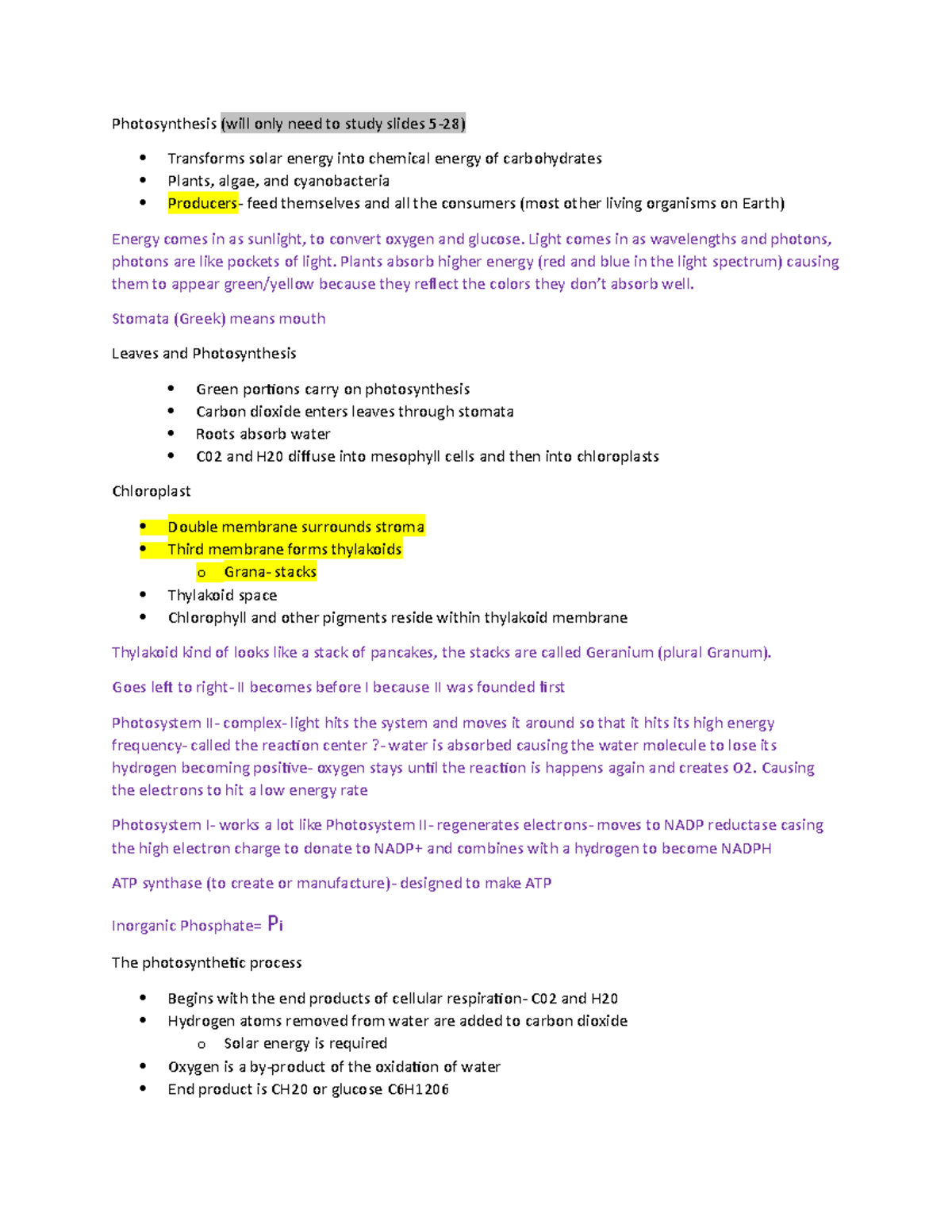 Chapter 6 BIO - Photosynthesis (will only need to study slides 5-28 ...